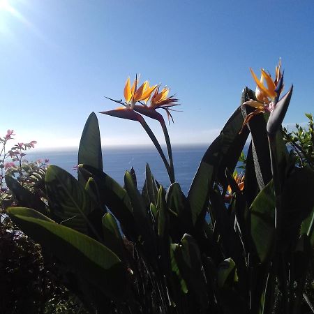 Apartamento Do Sol Arco da Calheta  Bagian luar foto